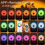 Golden Hour Sunset Lamp